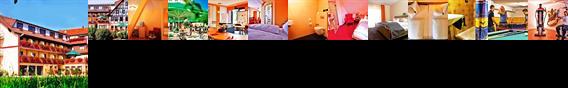 Hotel Gasthof Löwen Marschalkenzimmern