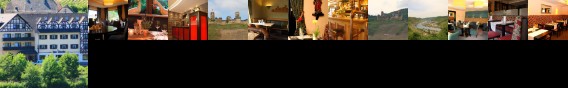 Hotel Traube Lof