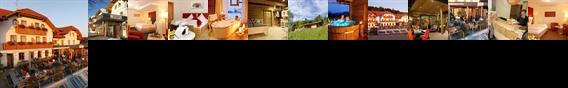 Wander & Wellnesshotel Hüttenhof Grainet