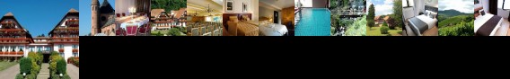 Hotel Des Vosges Klingenthal (Alsace)