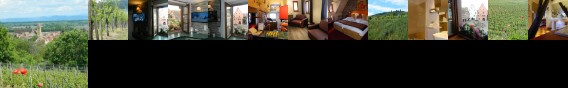 Hostellerie du Chateau Eguisheim