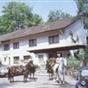 Gaststatte & Hotel Schwalbennest Mainhausen