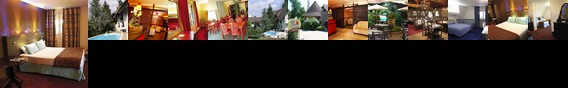 Hotel La Flambee Sennecey-les-Dijon