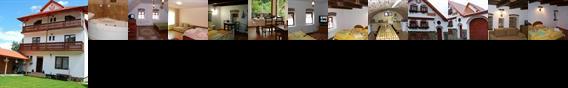 Guesthouse Rustic Talmaciu