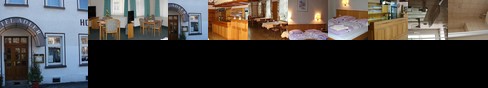 Hotel Restaurant Adler Reichenbach im Vogtland
