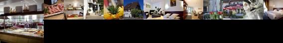 Au Lion D'or Hotel Burnhaupt-le-Haut