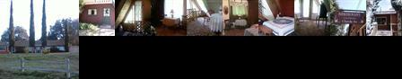 Live Oak Springs Resort