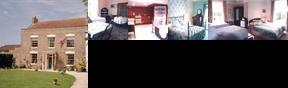 Ilex House
