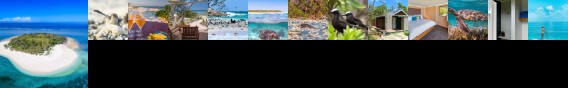 Wilson Island