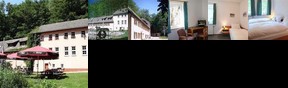 Flair Hotel Glänzelmühle Waldenburg (Saxony)