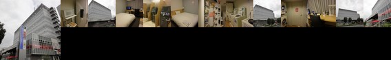 Daiwa Roynet Hotel Tsukuba