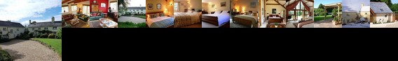 Devon Wine School Bed and Breakfast Crediton