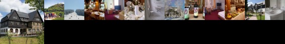 Landhotel Wettin (Saxony)