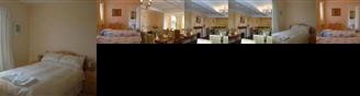 The Lion Hotel Llansanffraid