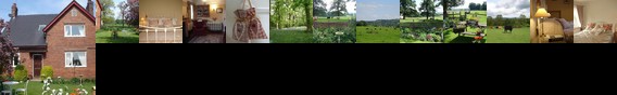 Yew Tree Farm