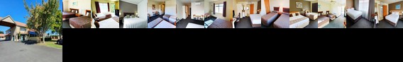 Hamilton Airport Motor Inn And Conference Centre
