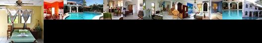 Dolphin Guest House