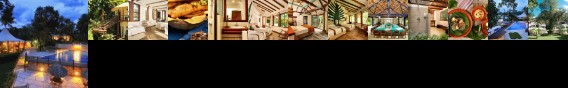 Villa Maya Flores