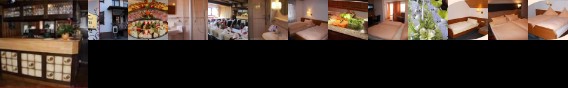 Landgasthof Lowen Hotel Rottenburg-Dettingen