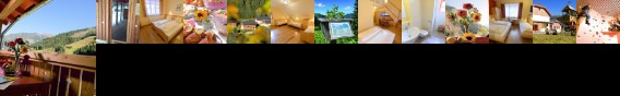 Jufa Guesthouse Donnersbachwald