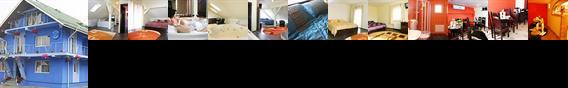 Pension David House Radauti