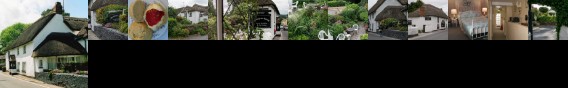 Southern Cross Guest House Newton Poppleford