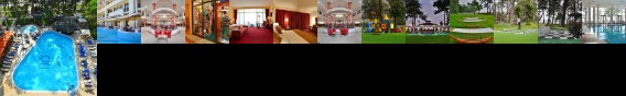 Georgia Palace Hotel