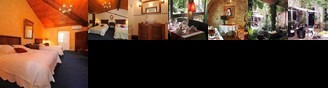 Auberge De L'Orangerie Piolenc