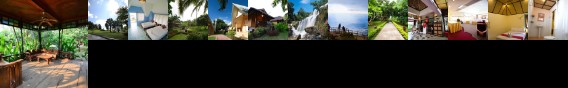 Touch Star Resort