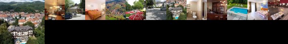 Grand Hotel Munster (Alsace)