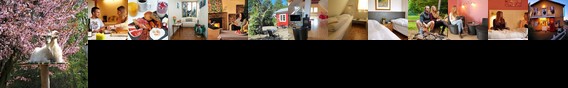 Danhostel Sonderborg Vollerup
