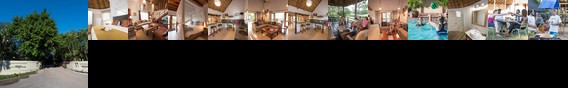 Sefapane Lodge and Safaris