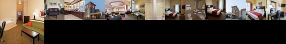 Comfort Suites Palestine