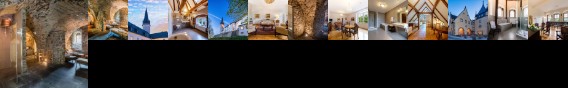 Schloss Purschenstein Hotel