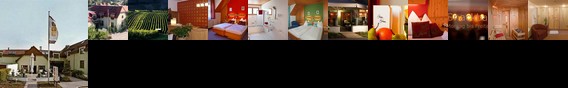 Hotel In Vino Veritas