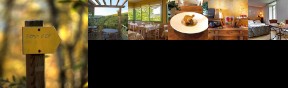 Auberge Du Fel Hotel Entraygues-sur-Truyere