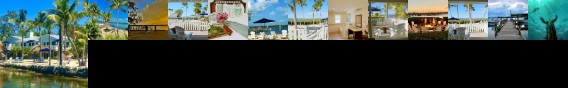 Coconut Palm Inn Key Largo Tavernier