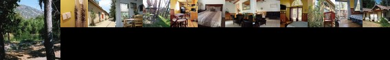 Sequoia Riverfront Cabins