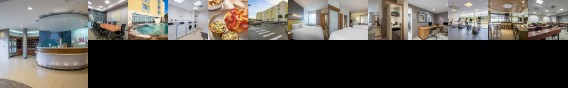 SpringHill Suites by Marriott Tampa North / Tampa Palms