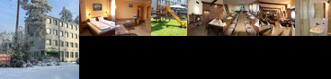 Hotel Lesnik