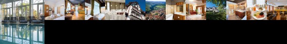 Hotel Palmenwald