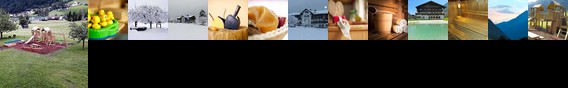 Steuxner Hotel Neustift im Stubaital