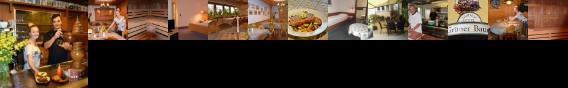 Gruener Baum Hotel & Gasthof