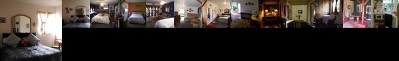 Aloha Crater Lodge