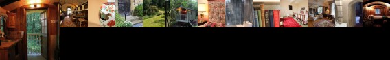 Tower Bed and Breakfast Mold