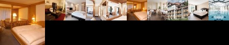 Burghotel Am Hohen Bogen Neukirchen beim Heiligen Blut