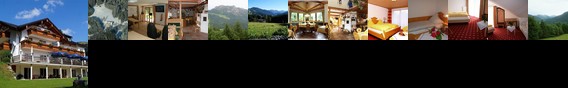 Hotel Alpenhof Reuterwanne Wertach