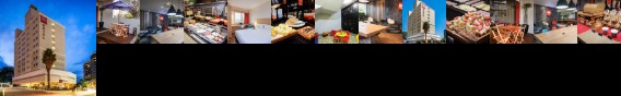 Ibis Sao Jose