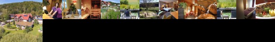 Zur Linde Gasthof Hotel
