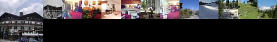 Hotel Betulla